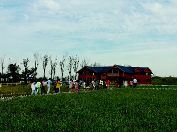 ����ζ˳��������