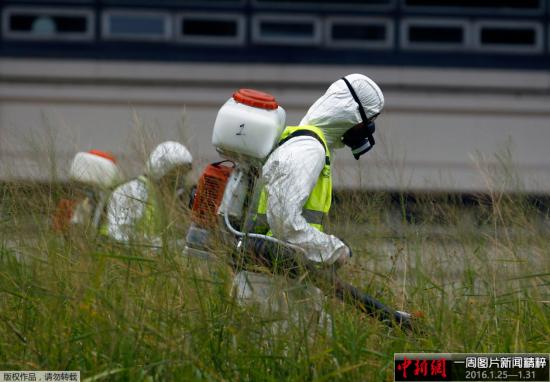 ����ʱ��1��29�գ�����͢�׶�����ŵ˹����˹��������Ա������Ѭ���á�