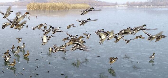 ��������