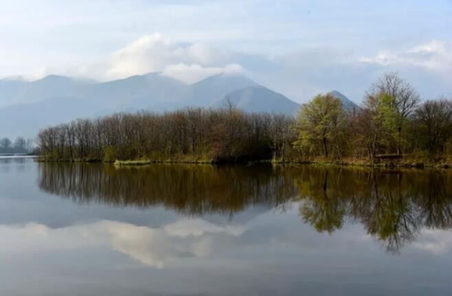 �����������������ش���£�