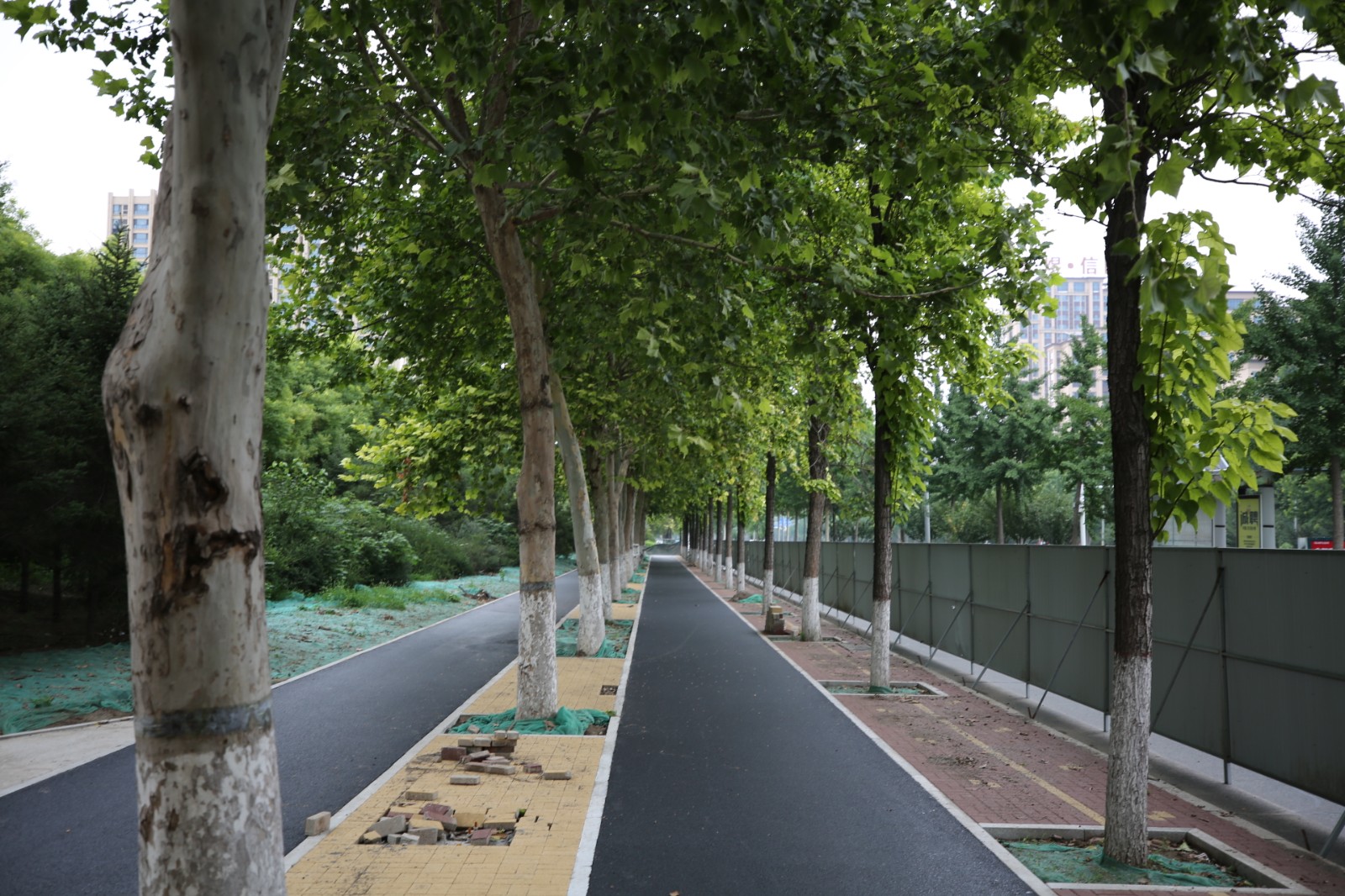 ��Ȫ��·����·1