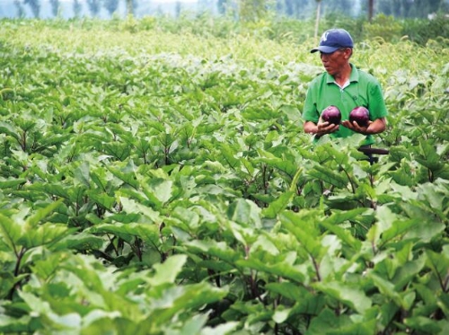 �޹����߲�������