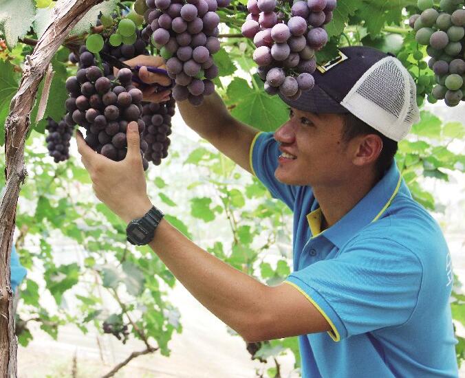 �������������