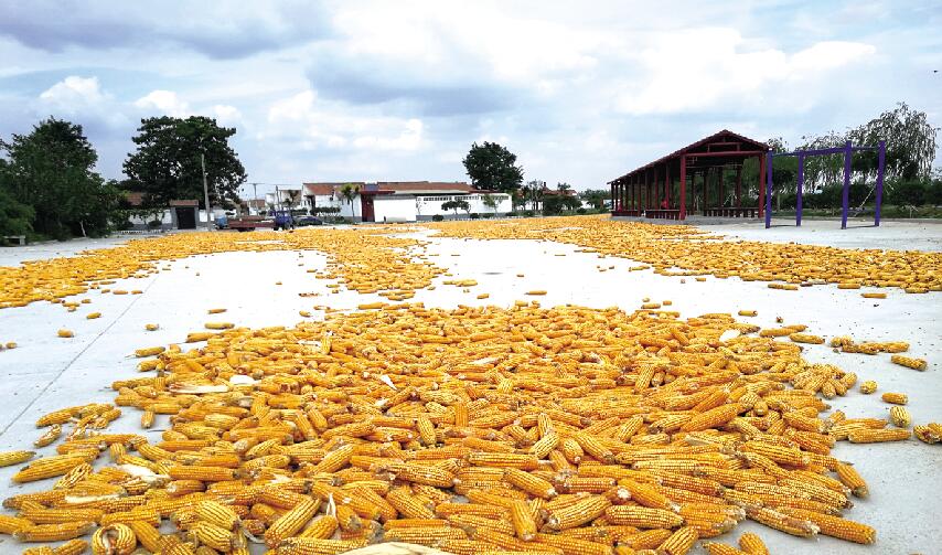 ����ʱ��