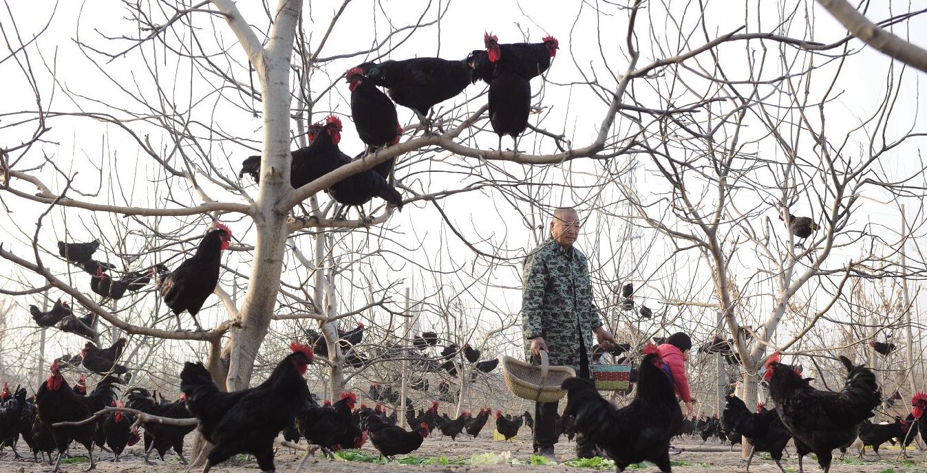 ���������̬������