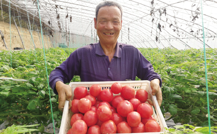 ��ůũ��æ ���κ��ճ�