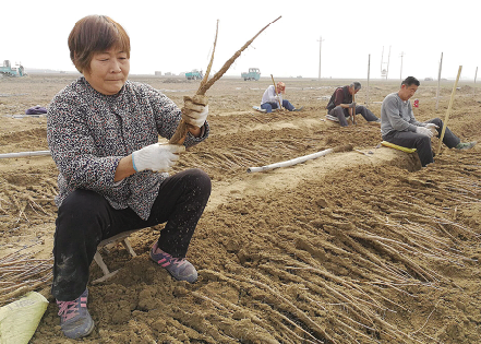 ���ڴ����� �����¸�æ