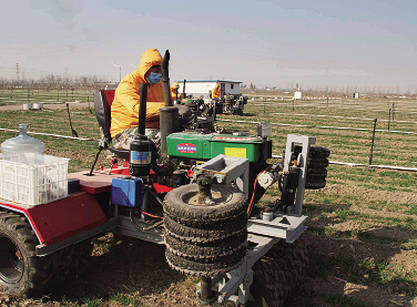 ȫ��С�󴺼������ֳ����������ٿ�