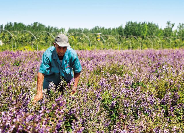 ���λ���