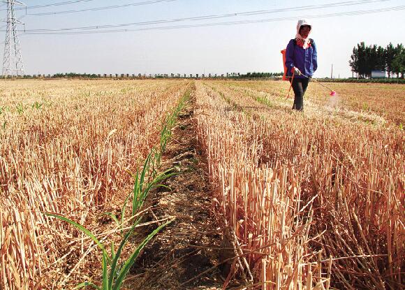 ��ץũʱæ�Ĺ�