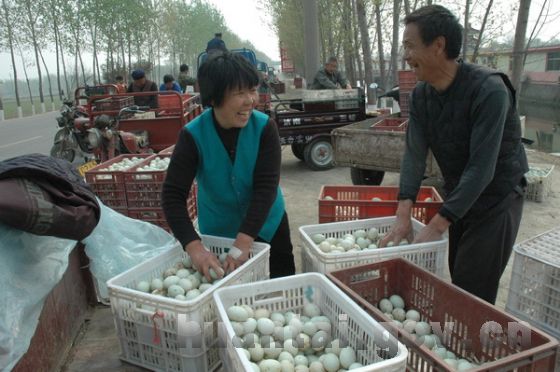 Ѽ�����&nbsp;&nbsp;����������