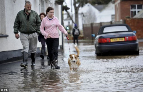 Ӣ���ϲ���50����������&nbsp;������ʥ���޼ҿɹ�