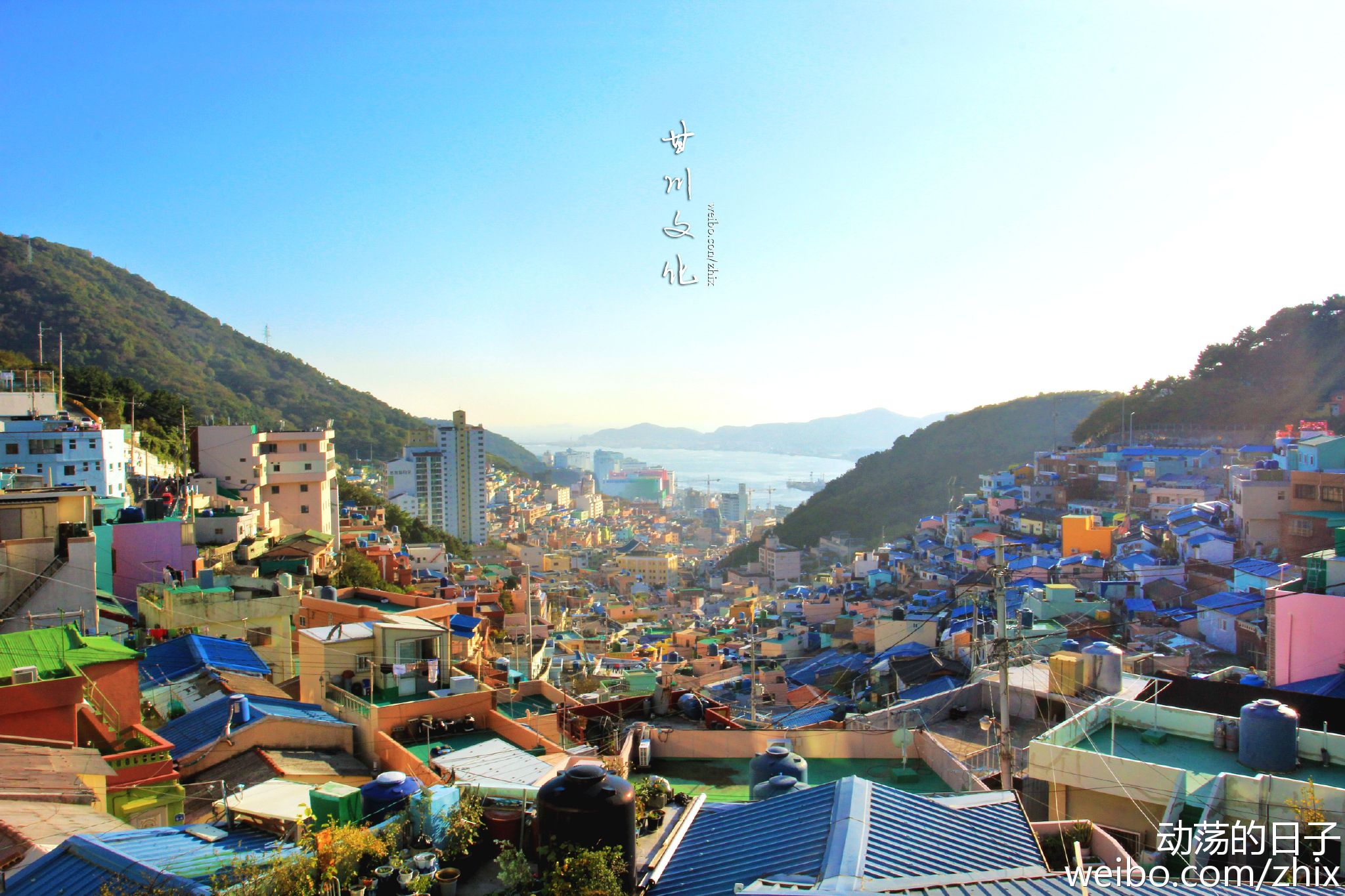 �ʴ��Ļ���