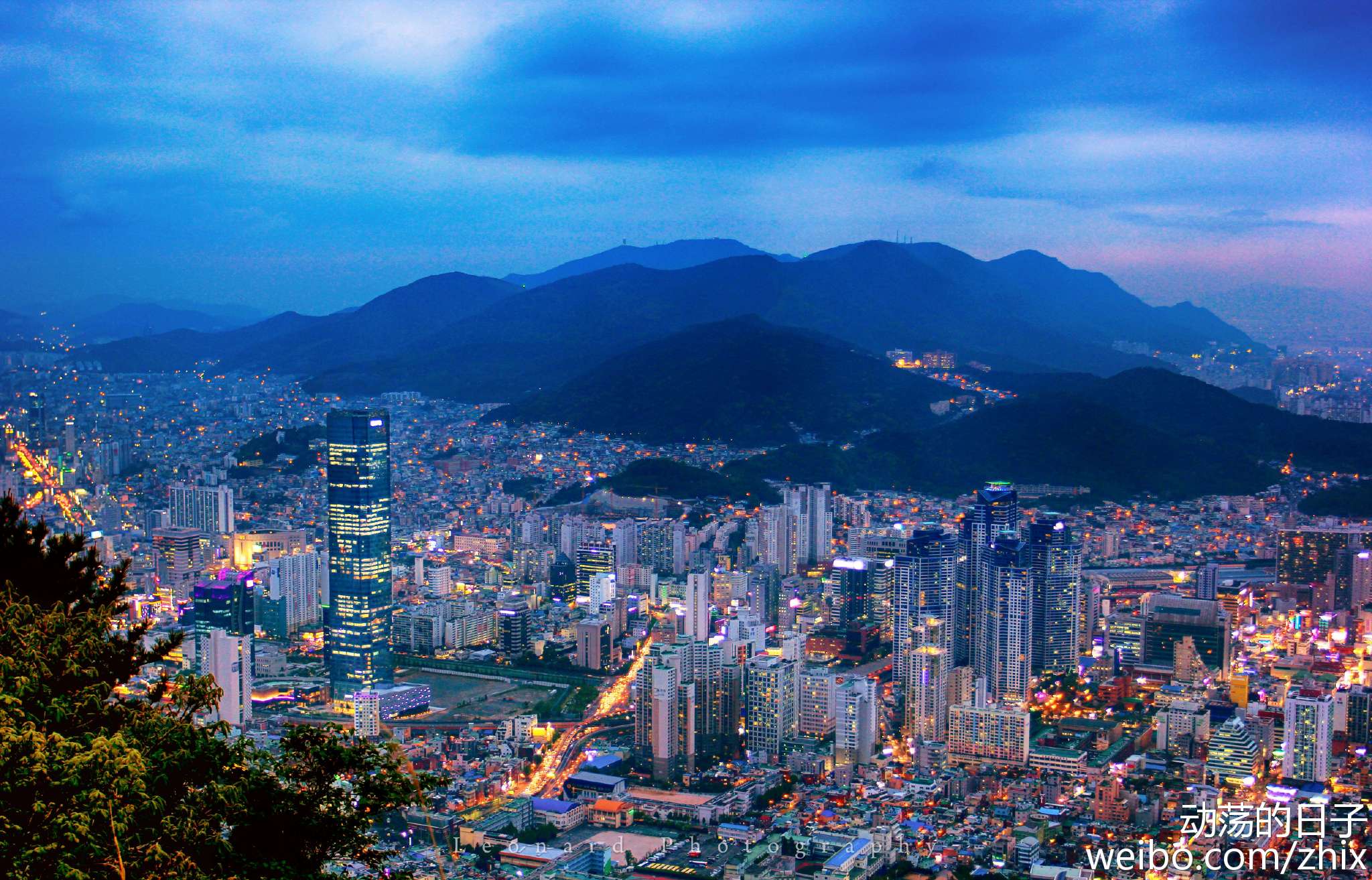 ��ɽ���ʽ�������