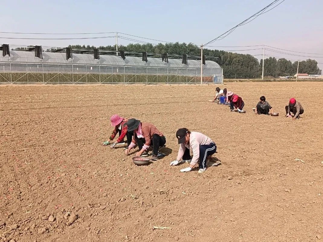 ������ƽ����Ϫ�ֵ������壺���������¸���ʤ���⡱