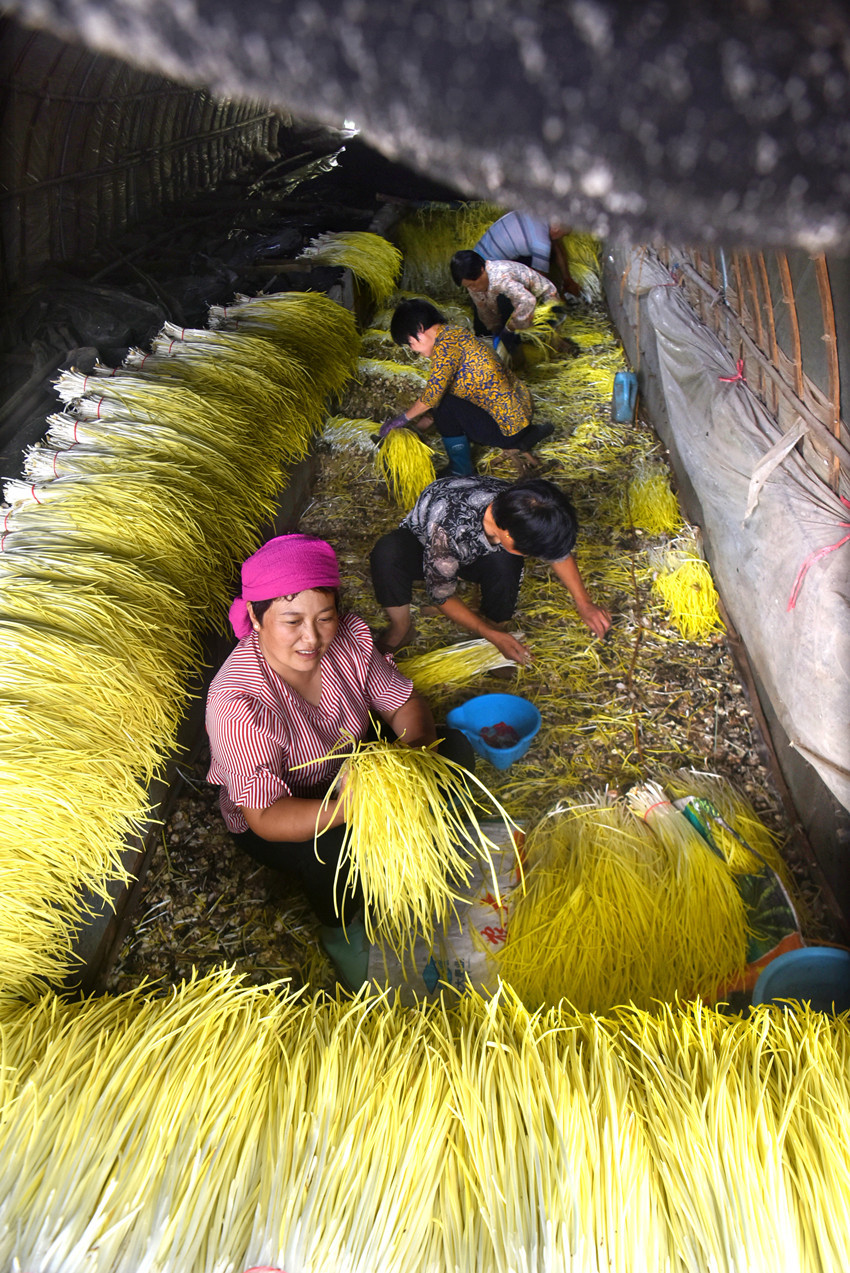 �Ͳ�����Դ�أ�����ƽ㡱��־���������ơ����ҵ��