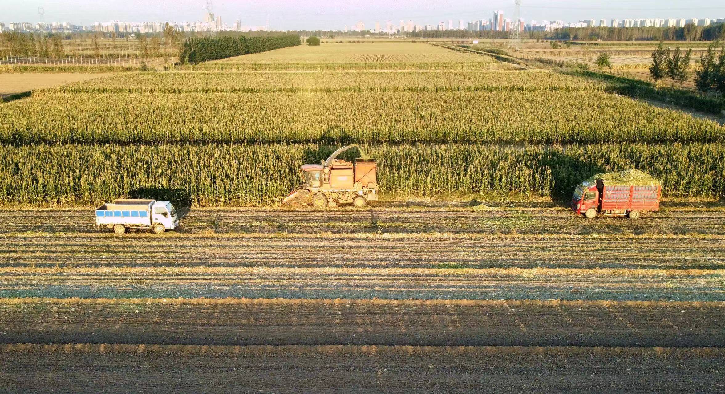 �����в����أ��������������&nbsp;ũ��Ц�������