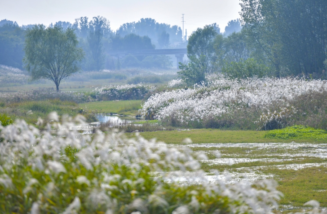 ������Զ���Ȫ������������ɫ