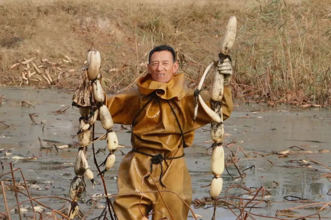 ������ƽ����ͷ�򣺡�ź�������ռ�&nbsp;źũ����æ