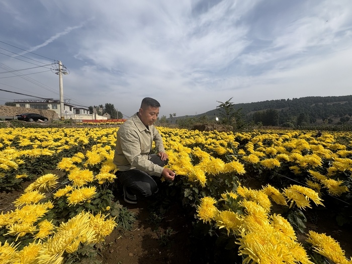 ����С�ﷵ���־գ��ü��緭ӿ��һƬ���պ���