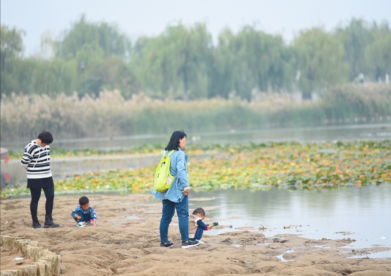 ���ջ�ɽ���ϳ����������ȥ��