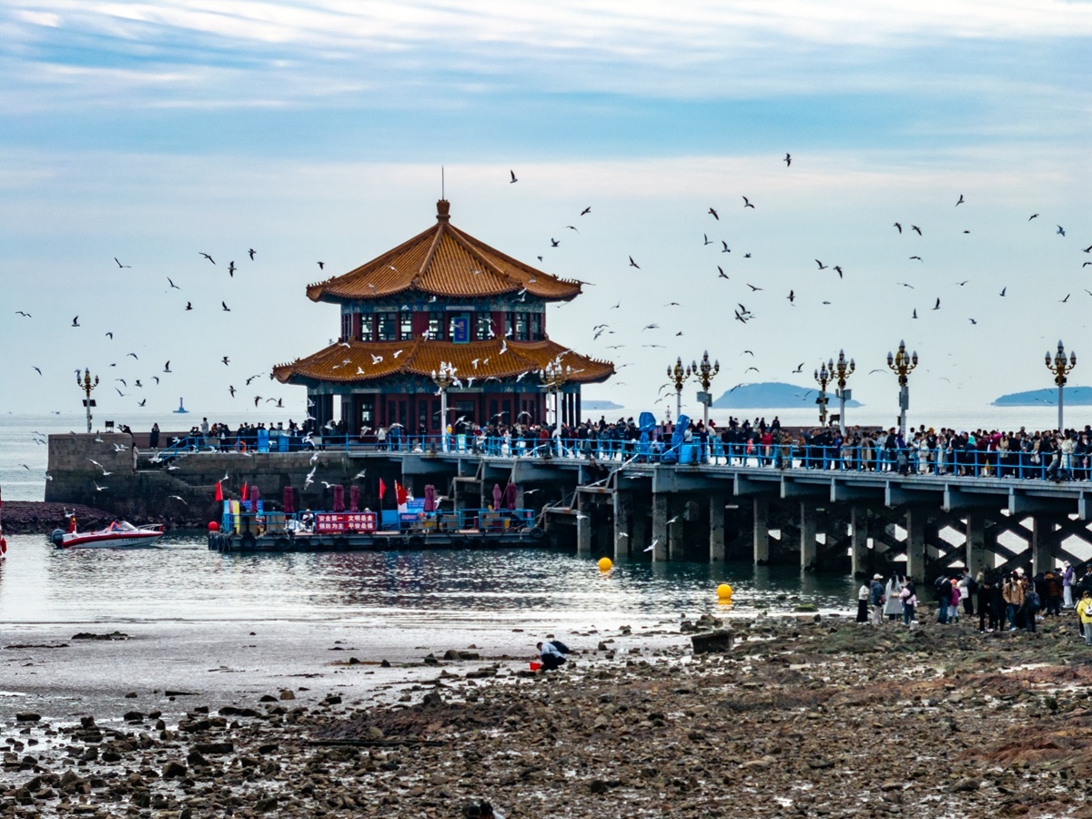 �ൺջ�ţ���Ÿ���蹲���г���ջ���