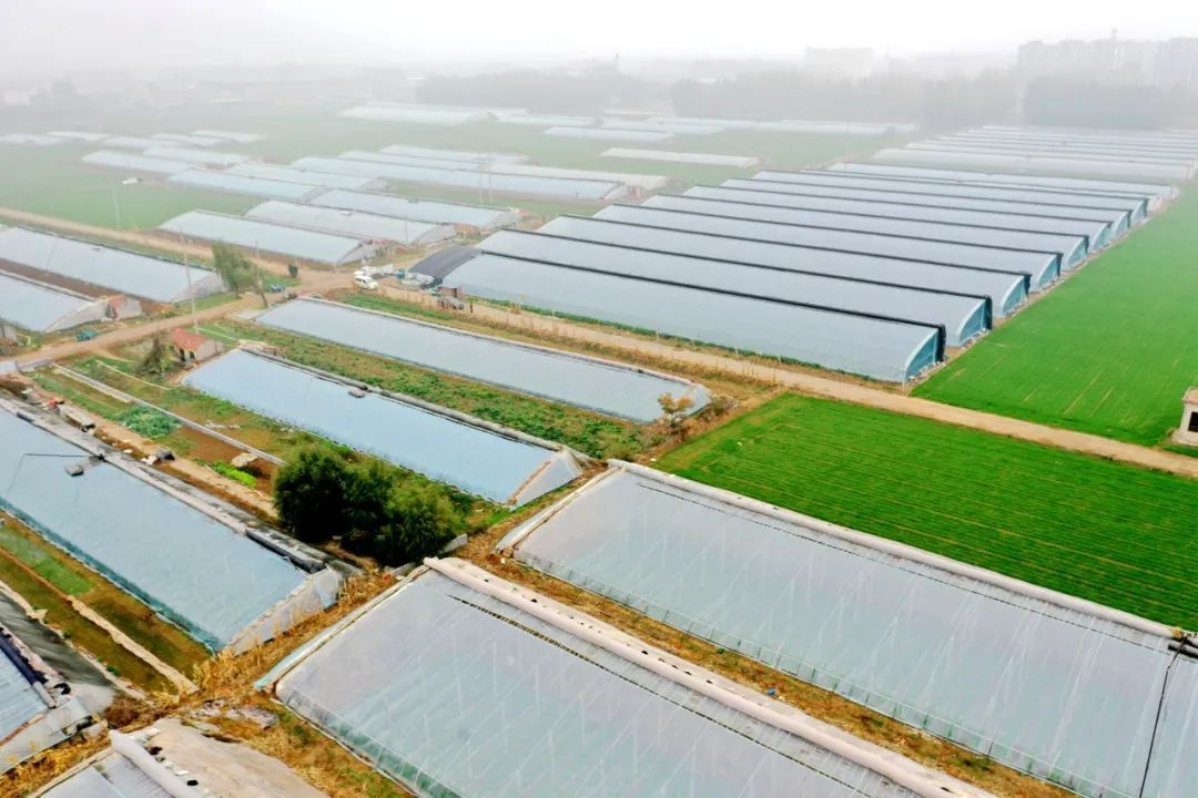 ������ƽ�н����򣺹��ߴ�������Ũ&nbsp;���춬�ա���������