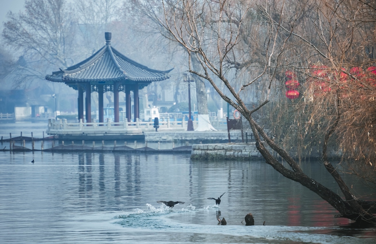 ����ļ��ϣ�Ϊʲô���������泩