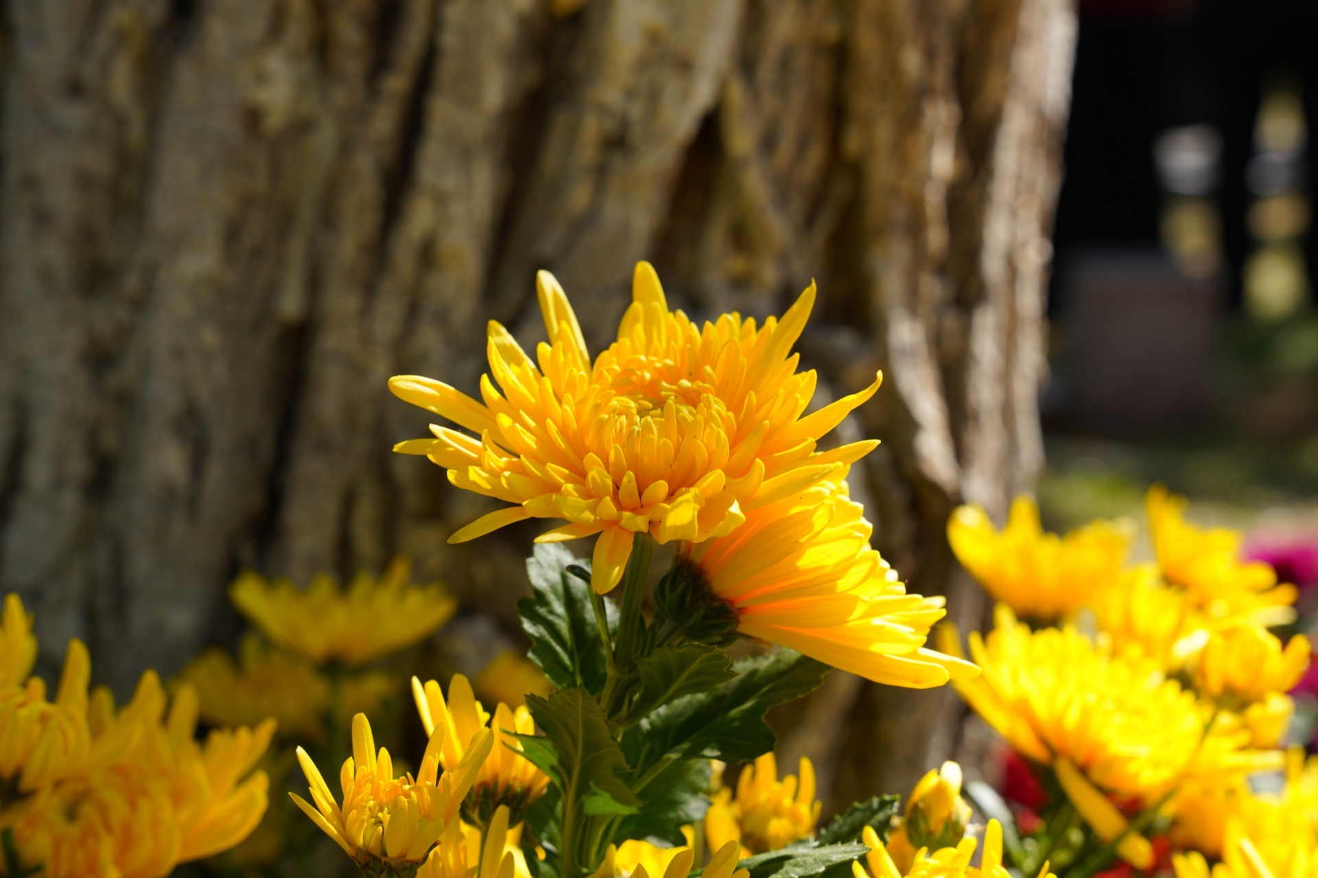 �����������أ��ջ�����&nbsp;����С��