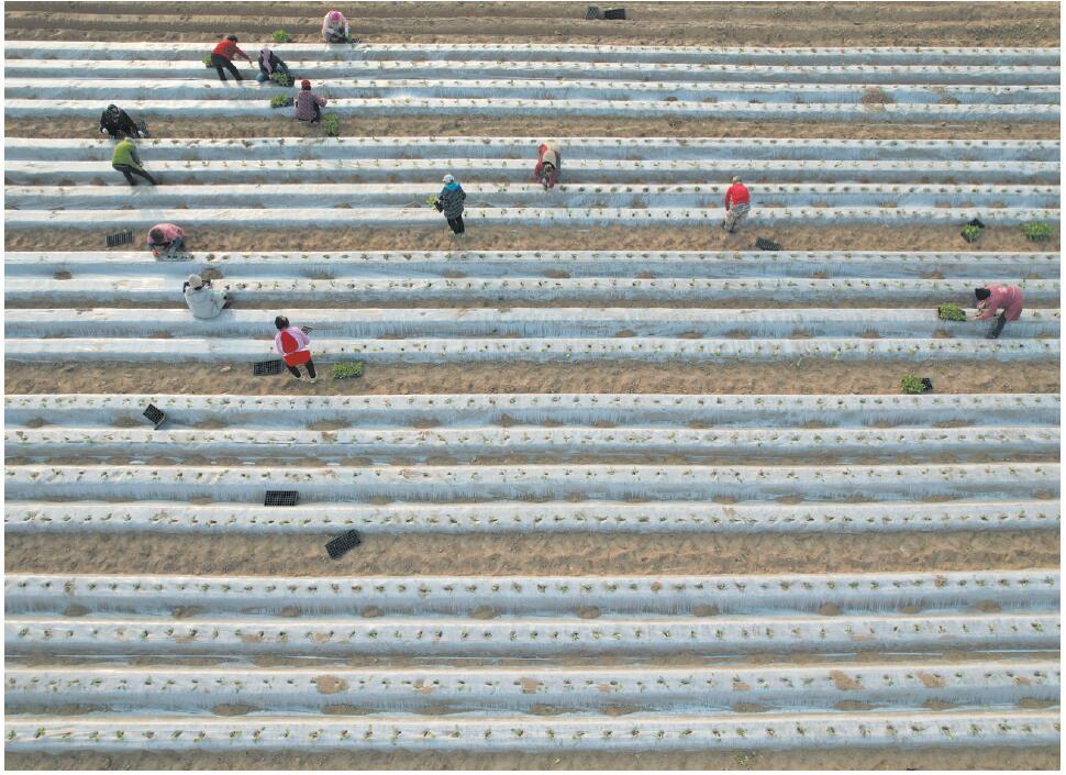 ������ƽ�У����б䶬æ&nbsp;���ִ�����