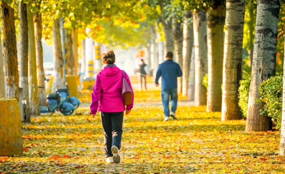 ��������&nbsp;�����ƴ������