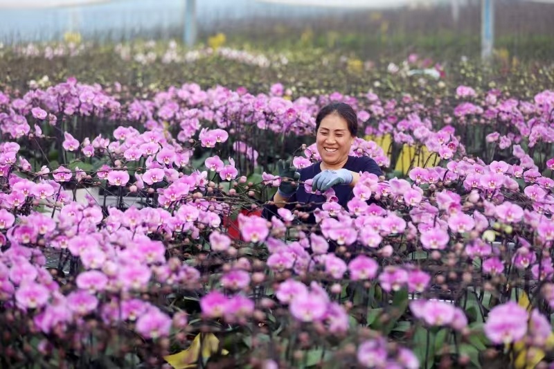 ������۰���أ�����������ӭ����