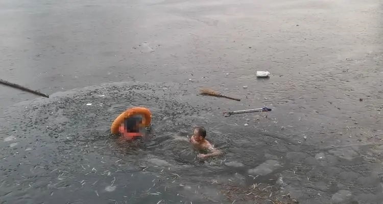 2024��Ϋ����ů