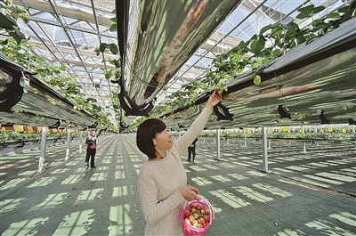 �ൺ�ִ���ʩũҵ��һ���ļ��á��ᡱ��