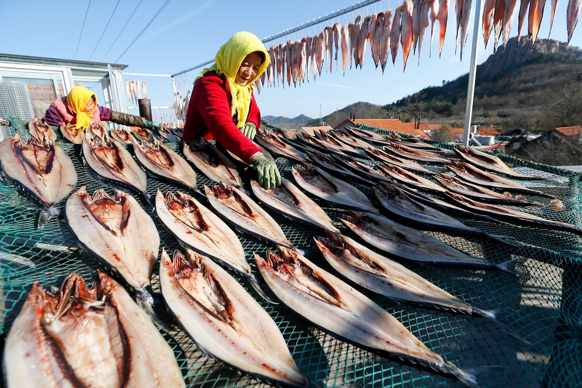 �ൺ�м�ī��������ɹ��ɣ�����������