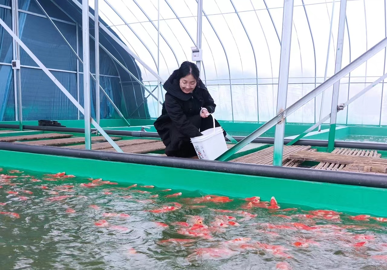 �Ͳ����������ʳ���С���壺��ʽ����Ρ����¸���·