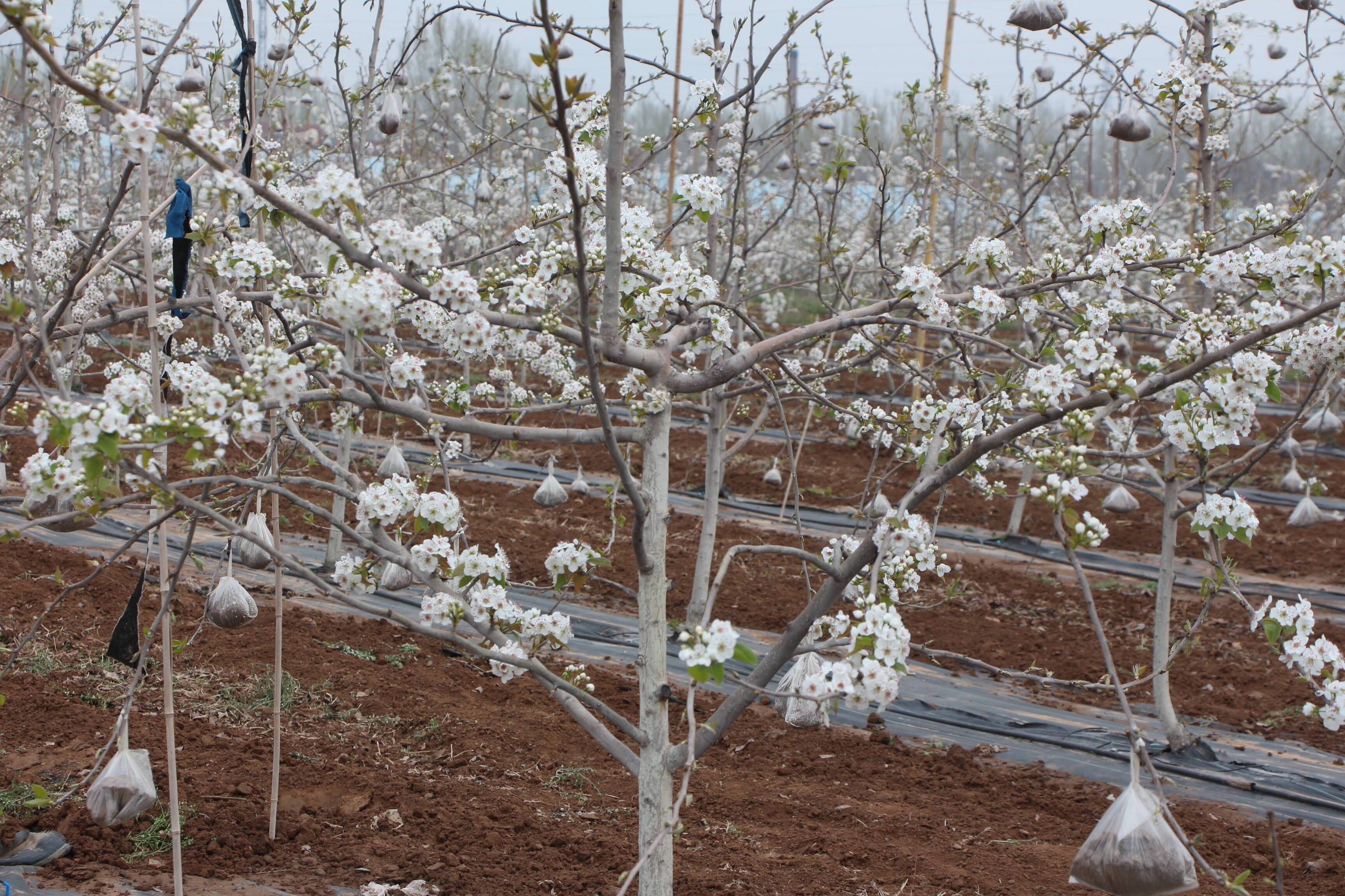 �Ͳ��Ĳ���ʡ�����ζȼ�����ˮ�򣺡���ζ��ׯ����������·�ϵġ����۲�ҵ��