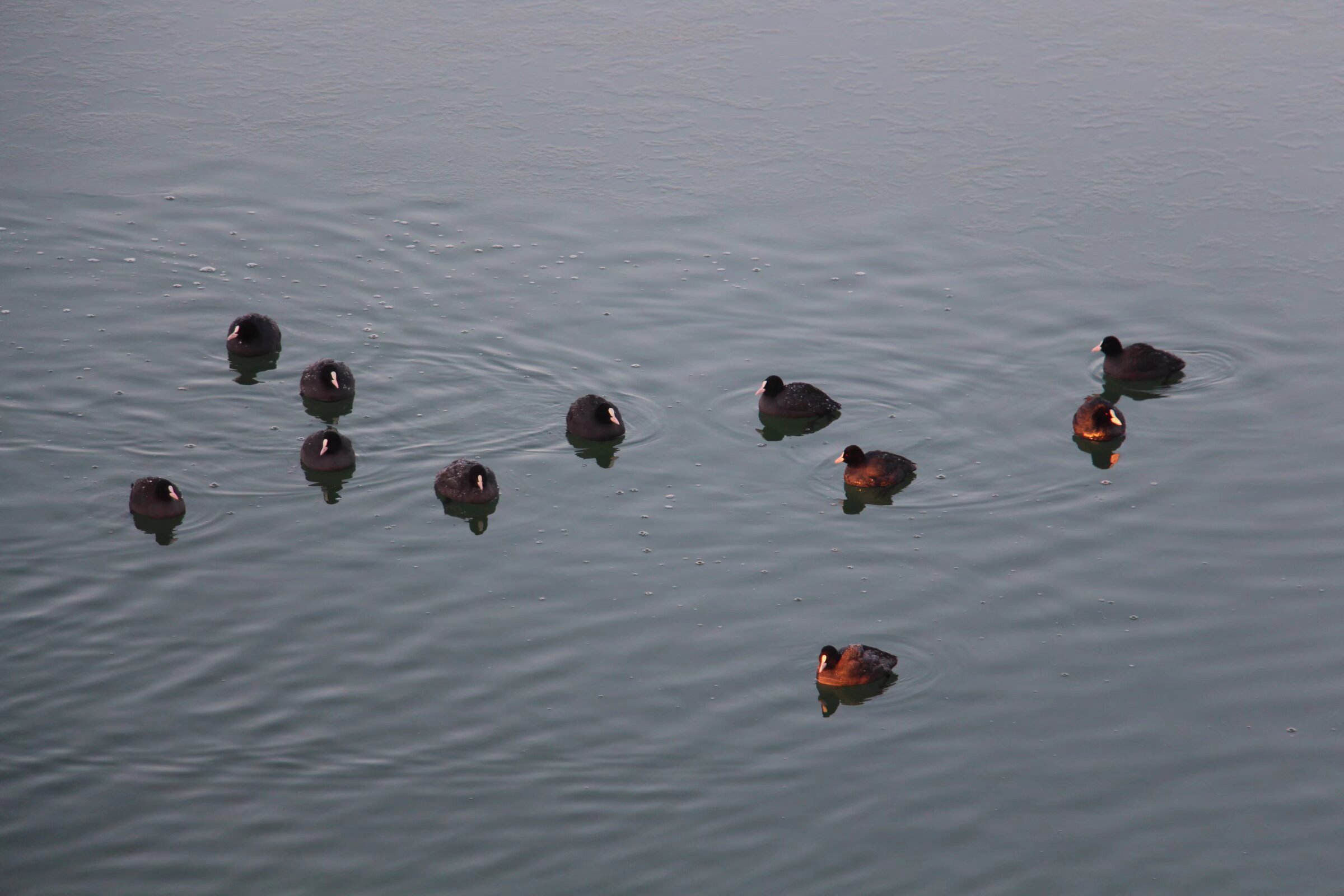 �����в������˸��򣺴��컽������