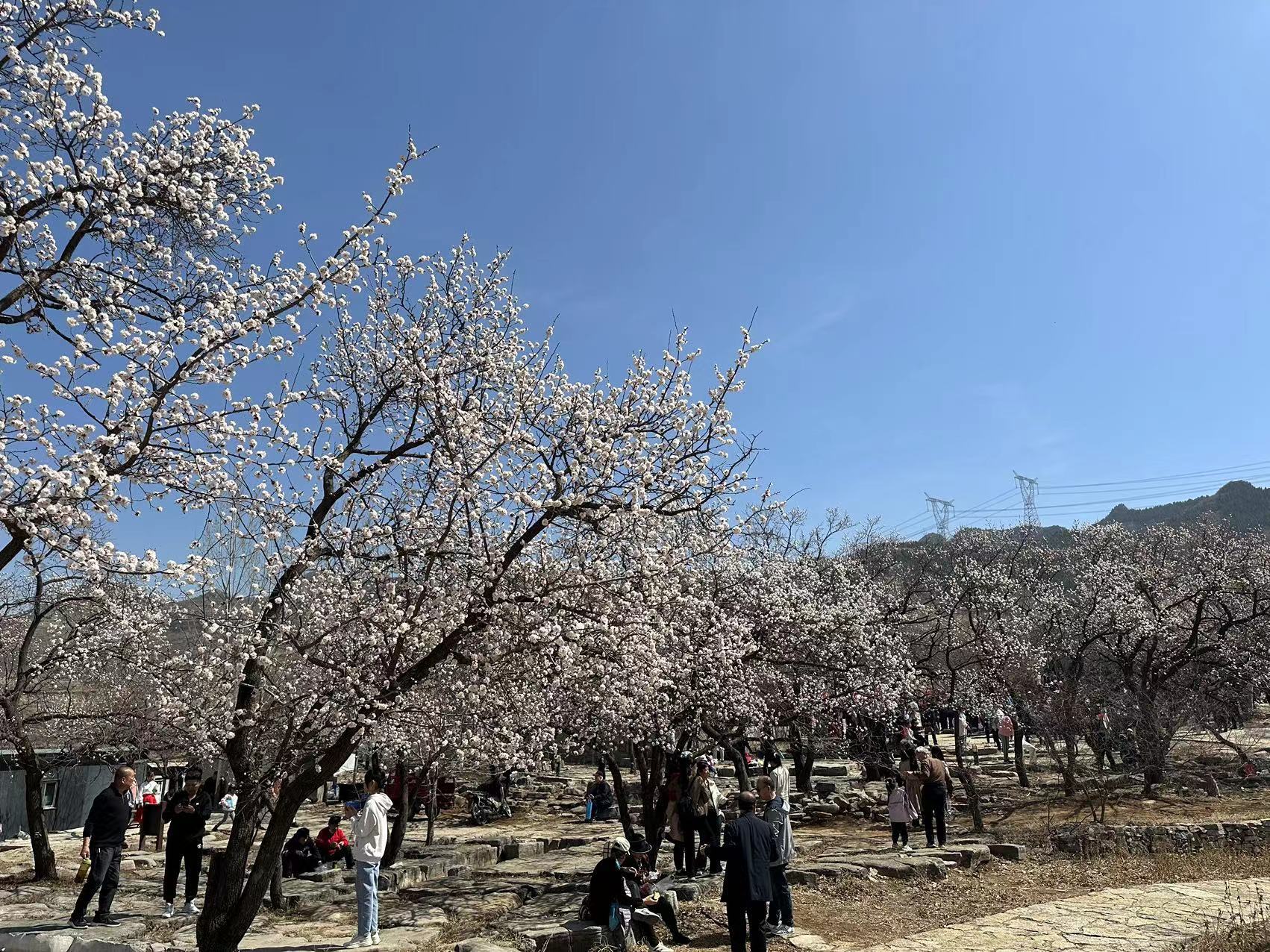 �Ͳ��в�ɽ���������������&nbsp;�οͽ������