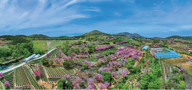 ��������ں�&nbsp;�����ൺ��ӽ���顱