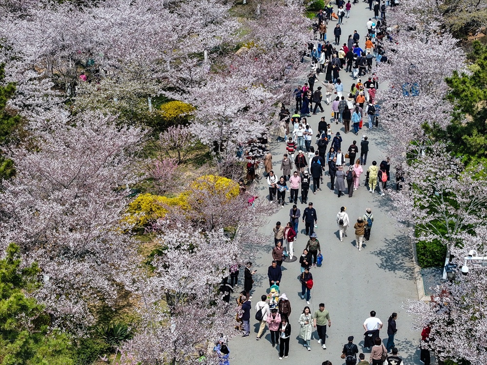 ����������ൺ��������롱