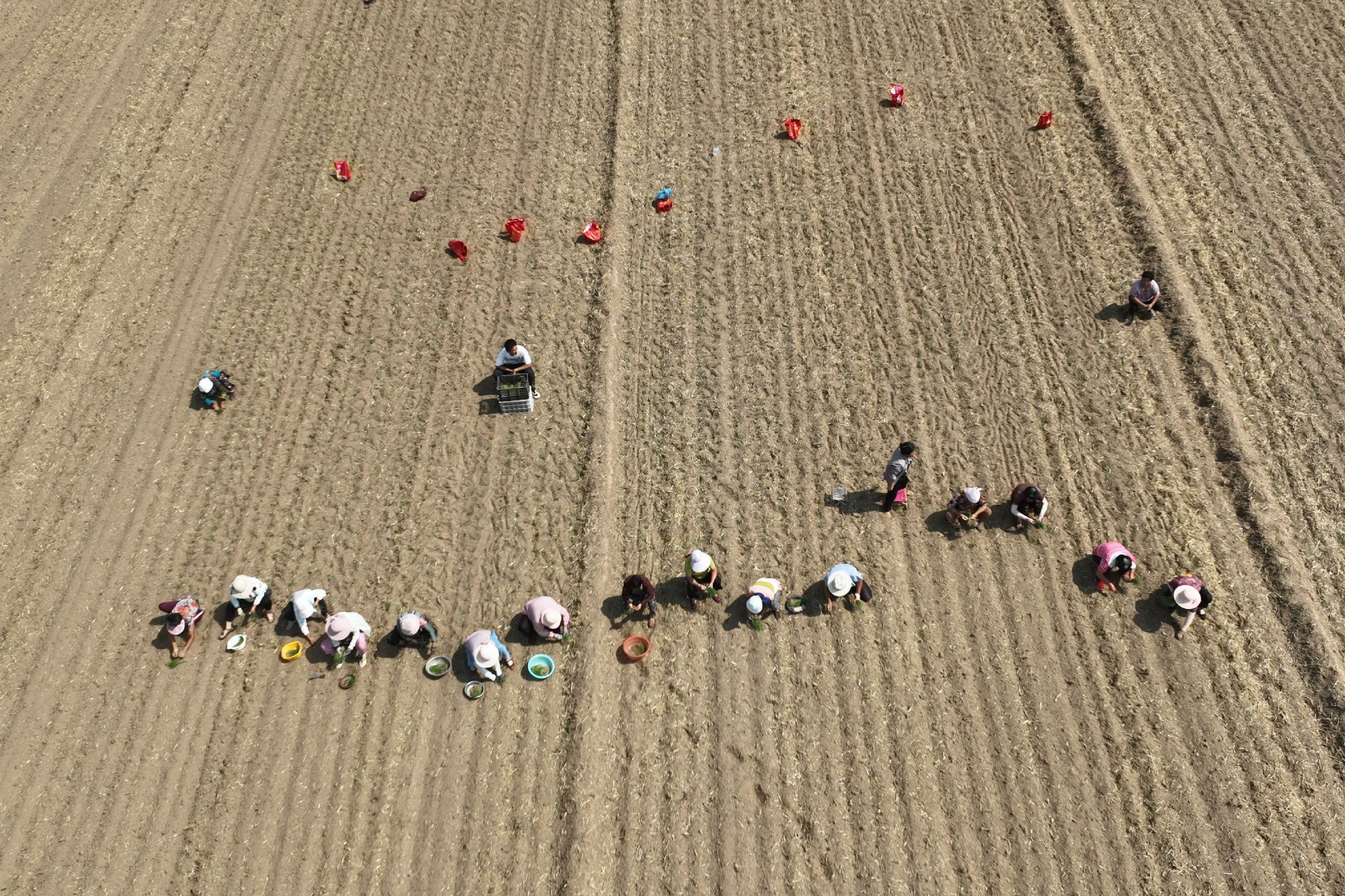 �ĳ�����ƽ���������²�����æ