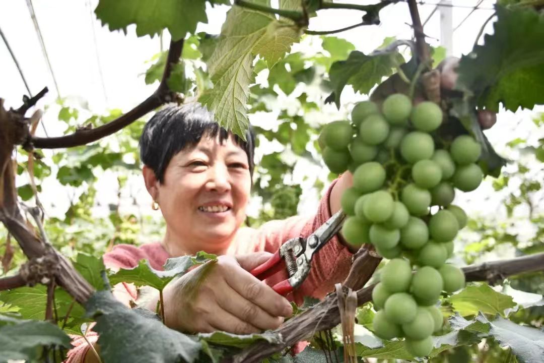 �����л�����ɣ���������ѷ�������԰&nbsp;��������¸�·