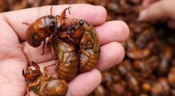 ������ƽ��̨���򣺷�չ��ɫ���¾���&nbsp;����������