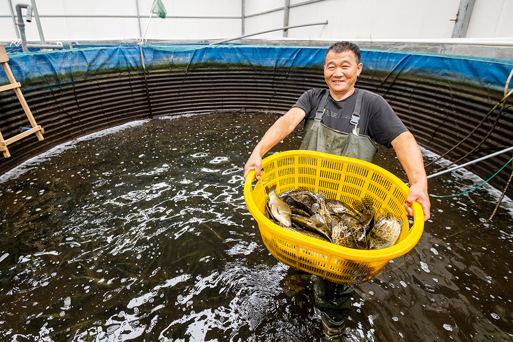 �����������أ��������㡰�Ρ����¸�·