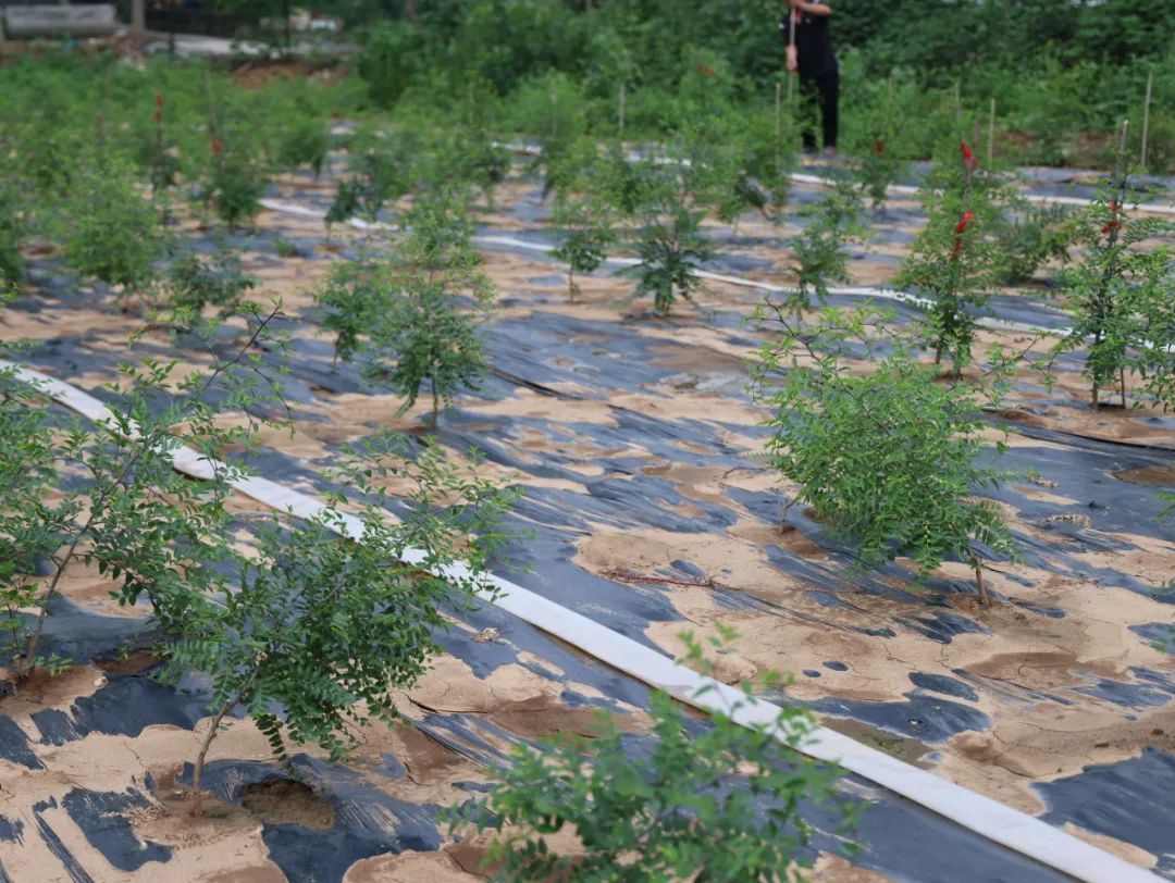 ������ƽ�и��½ֵ�ɽ�����壺��С���桱�������¸�����