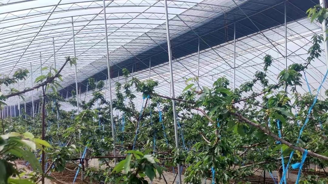 ��̨��Զ�У��������������&nbsp;��д�����´��