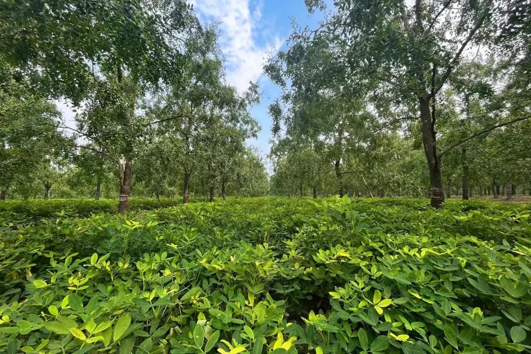 ������ƽ����ͷ����԰�ֻ���&nbsp;���ס����¸���·��