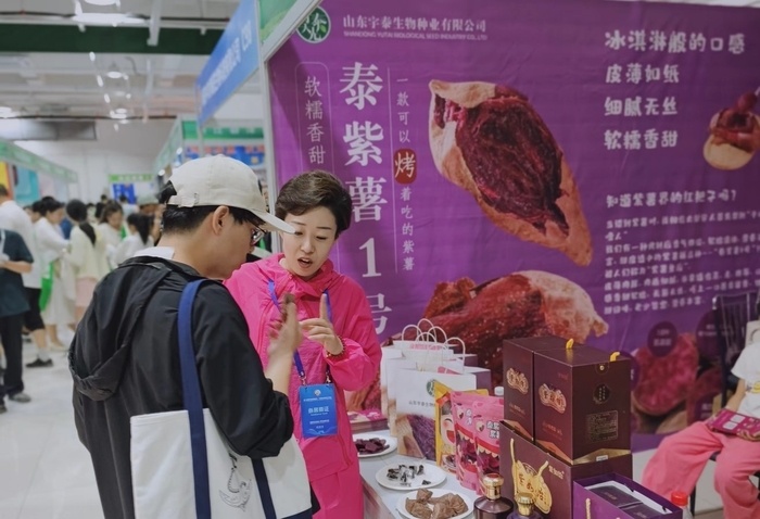 ��ֲ�ҵԮ����ɽ����η�����������