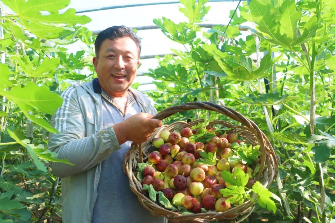 ������ƽ�оŻ����޻���������͸��ũ��